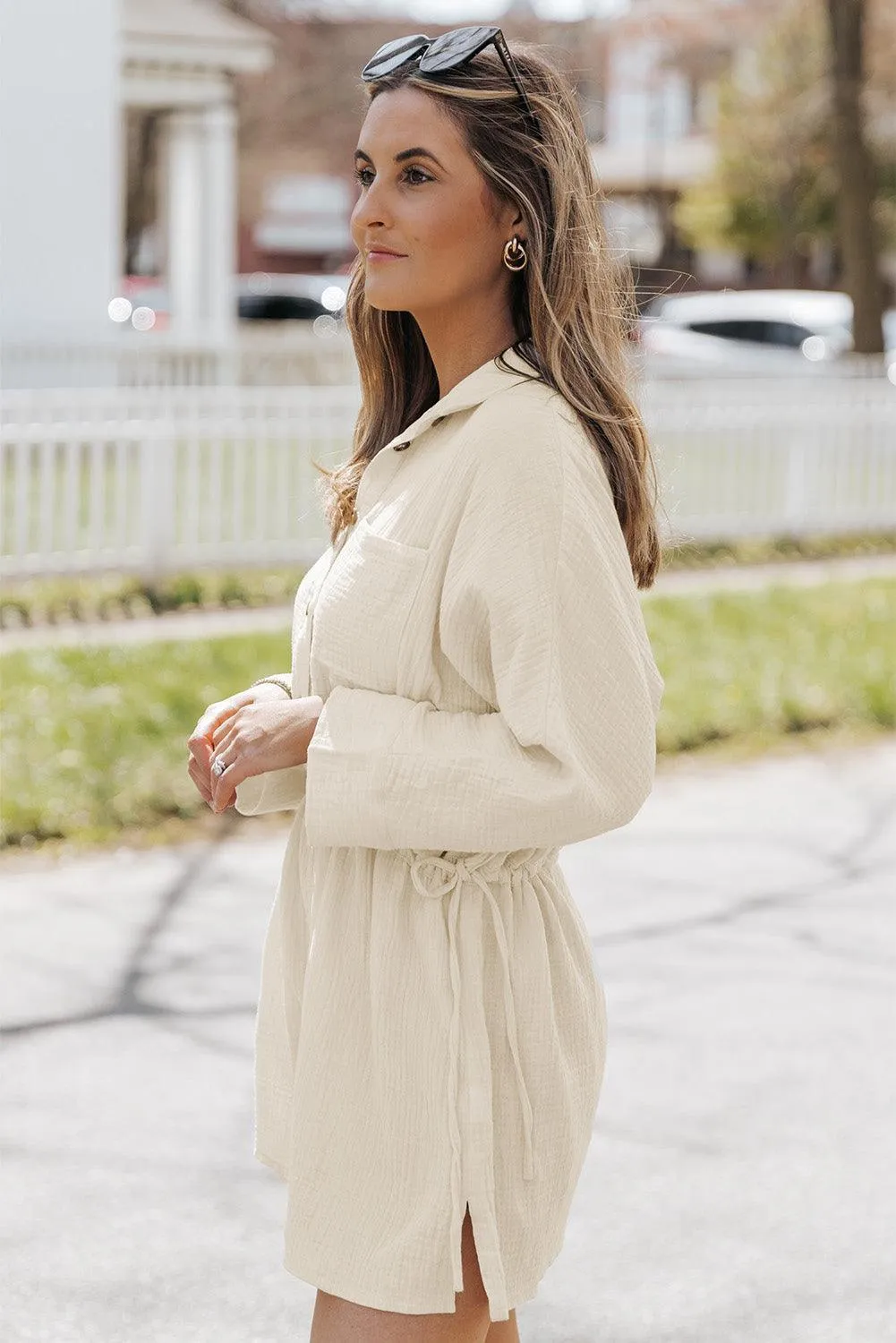 Neutral Tone Buttoned Long Sleeve Collared Mini Dress